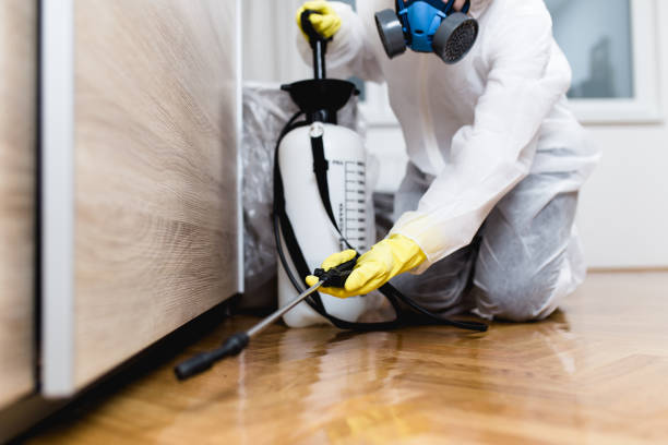 Pest Prevention Services in Indian Lake, TX