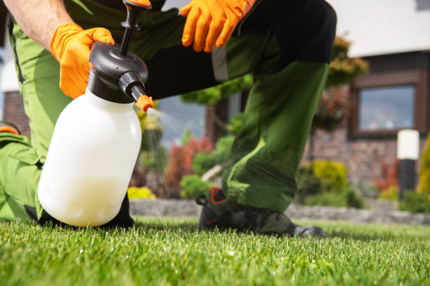 Professional Pest Control in Indian Lake, TX