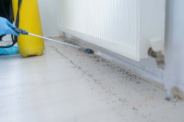 Best Pest Prevention Services  in Indian Lake, TX