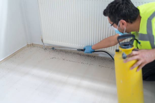 Best Pest Control for Homes  in Indian Lake, TX