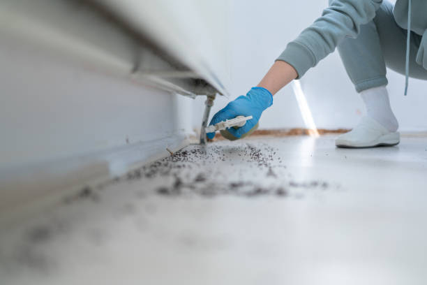 Best Emergency Pest Control  in Indian Lake, TX
